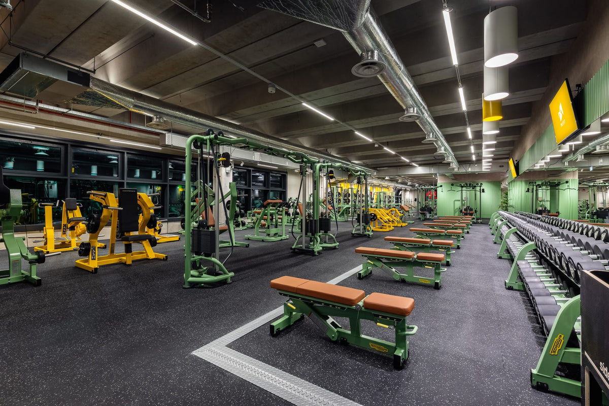 McFit Mestre