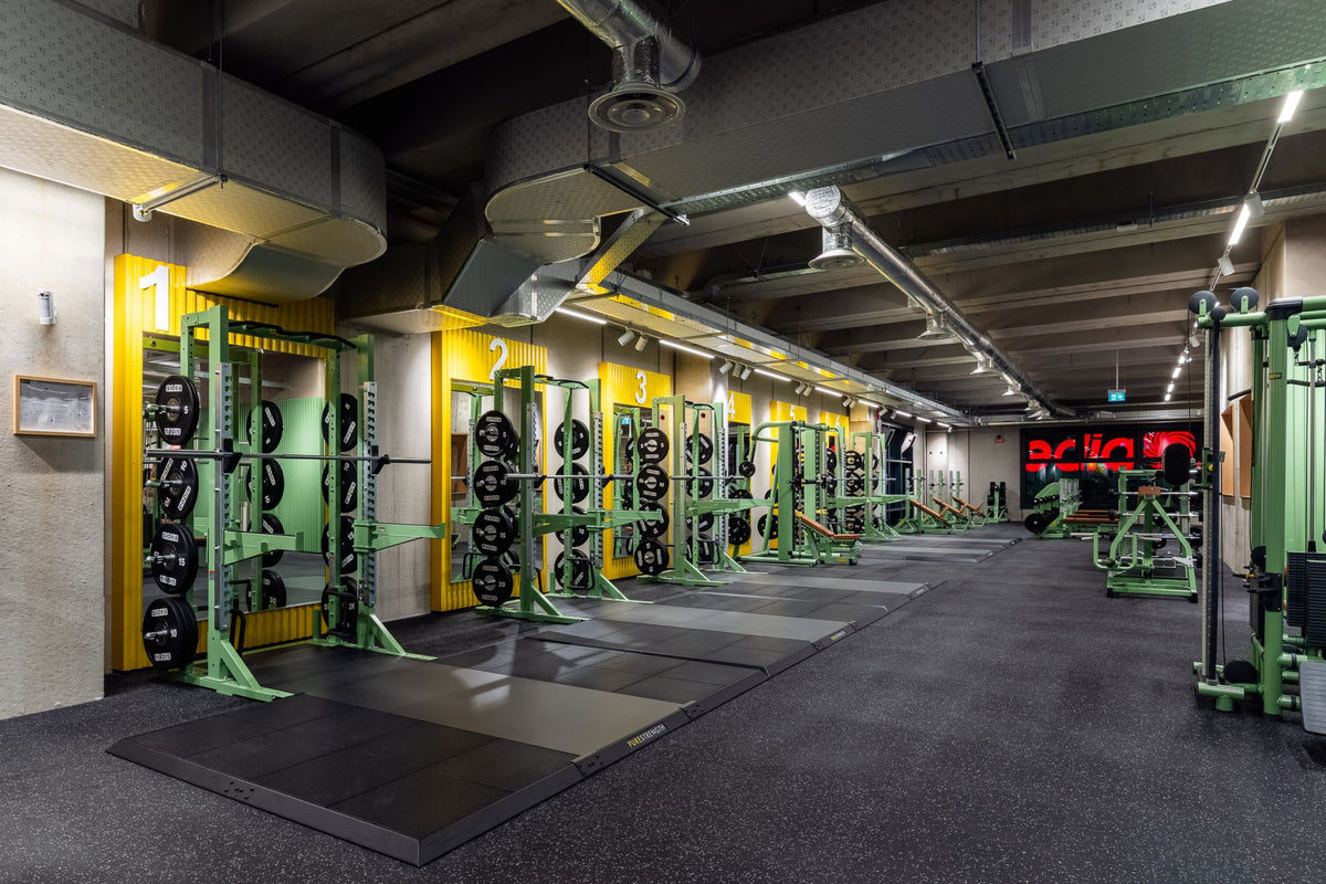 McFit Mestre