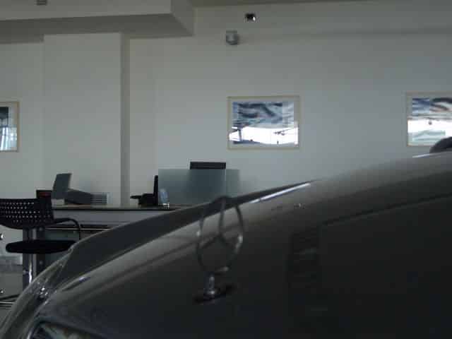 Mercedes Taranto